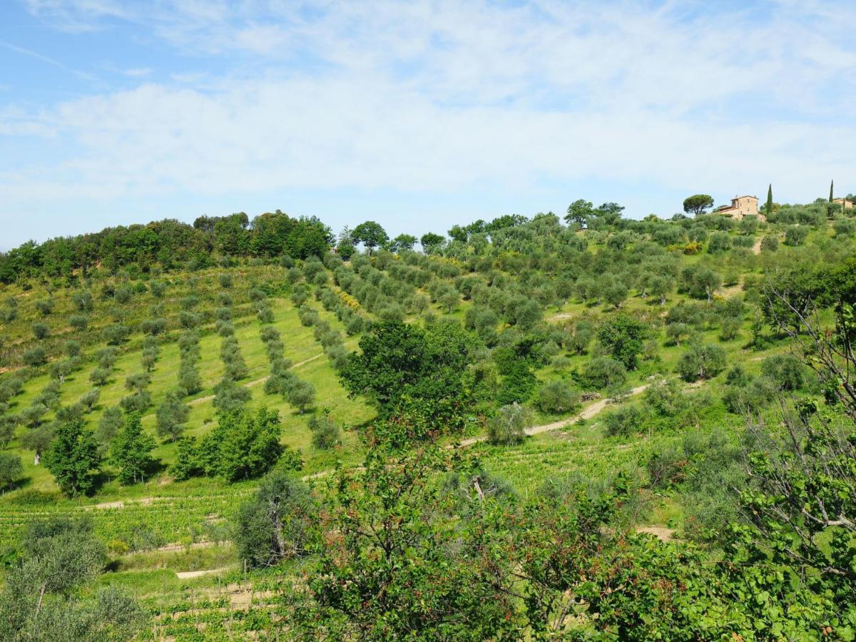 Holiday Home Poggio Velluto By Interhome セッジャーノ エクステリア 写真